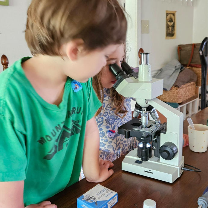 Two children at a microscope