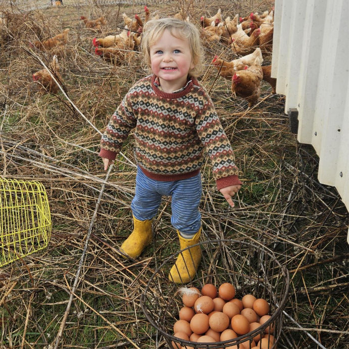 A toddler in the chicken paddock beside a basket of eggs