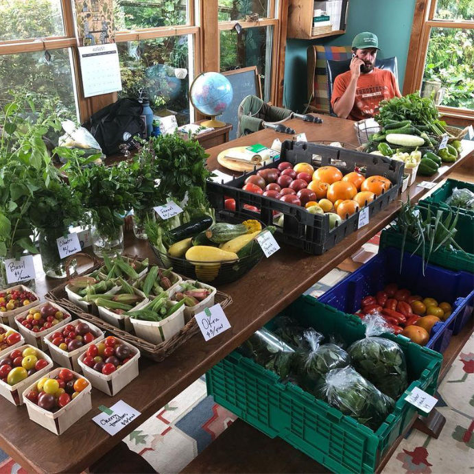 The farm store table laid out with herbs, tomatoes, okra and greens