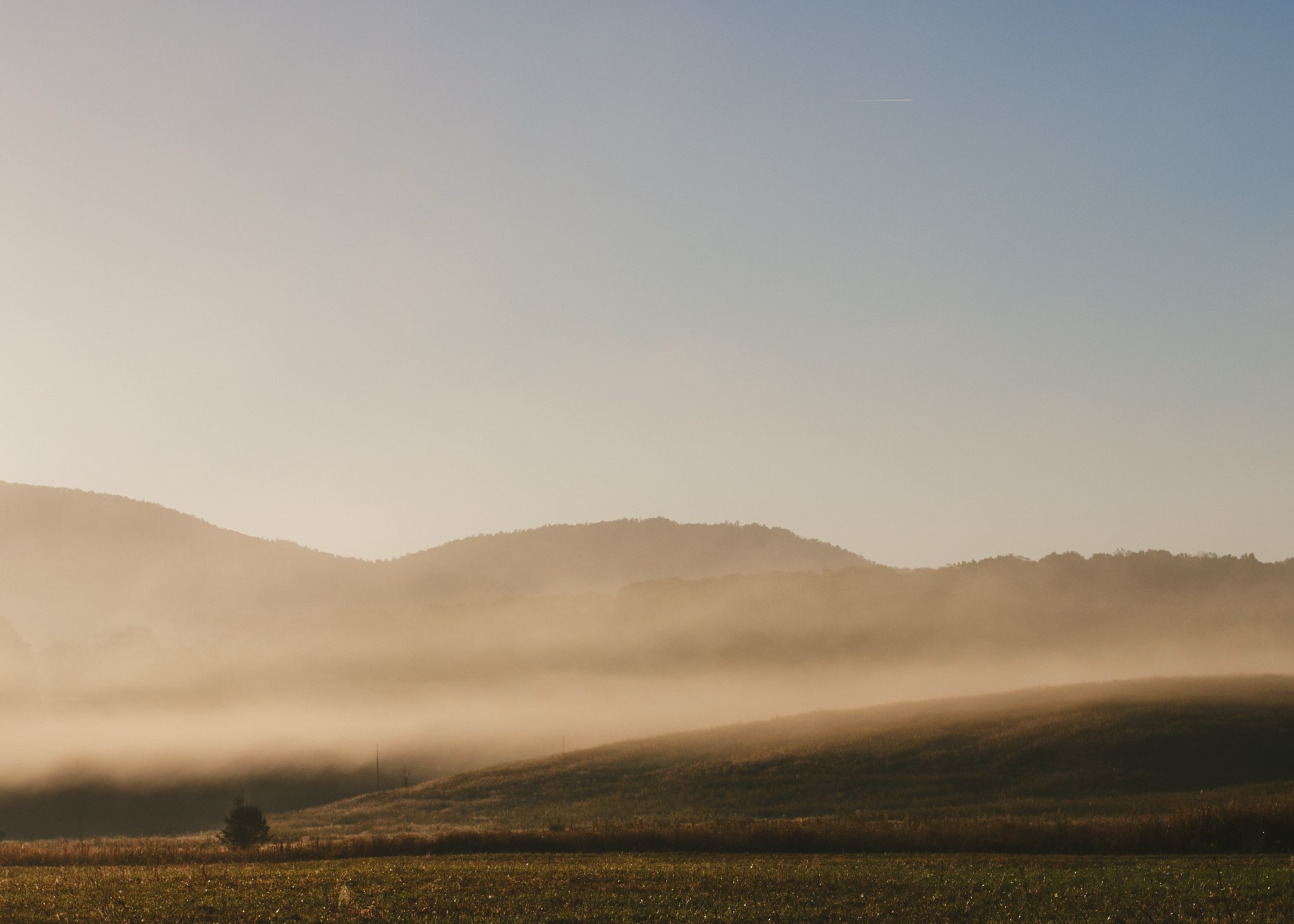 Fog lifting off the field at sunrise