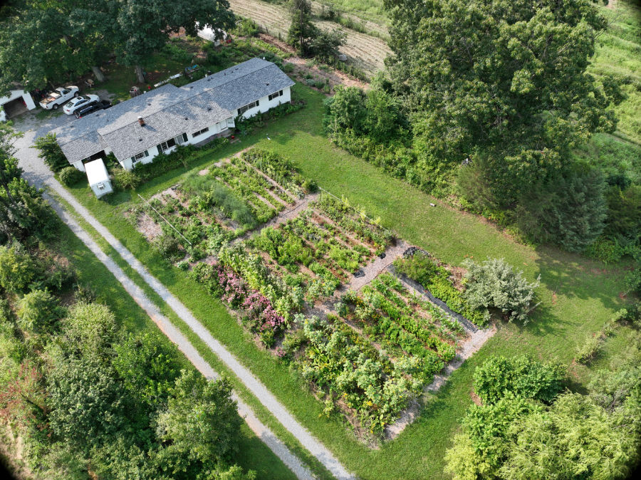 The same ground today — market garden beds where the lawn was